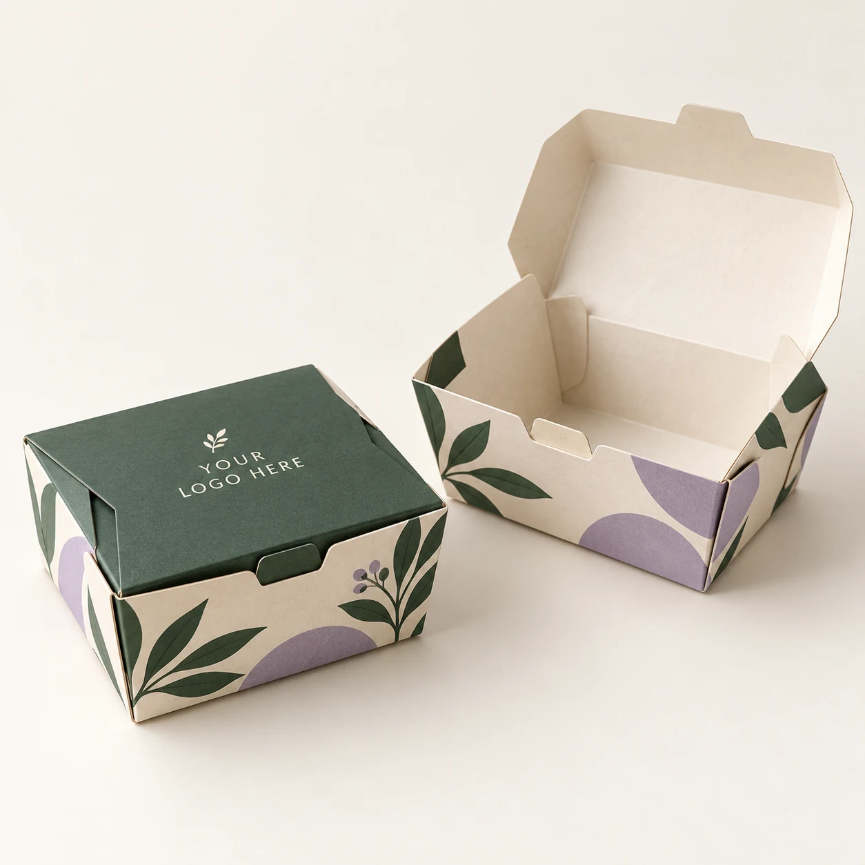 Takeout Boxes — customizable product design concept